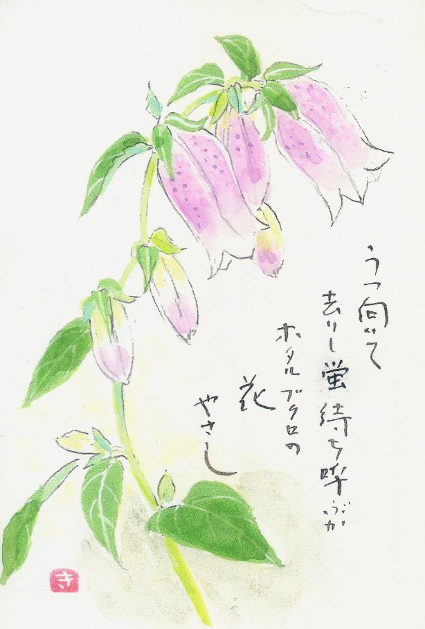 link